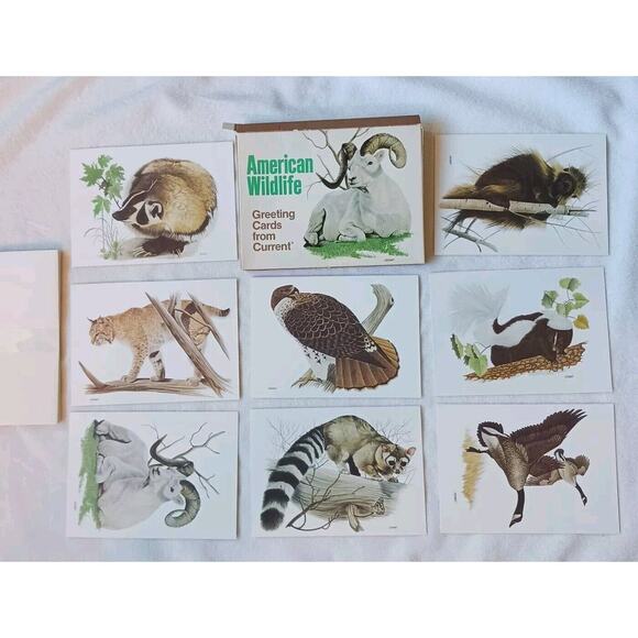 1980 American Wildlife Greeting 8 Cards From Current Vintage w Envelopes & Box - Picture 2 of 16
